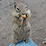 Profile Picture of Tad and Cathy Bailey (@Cathy Bailey) on Flickr