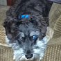 Profile Picture of RoseMary McNitt (@@51conway) on Tiktok