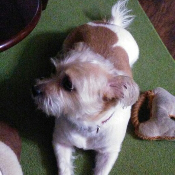 Profile Picture of Chandra Toland (@shortcakechan3) on Poshmark