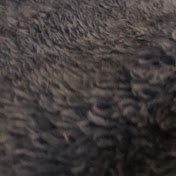 Profile Picture of Hanna Wilson (@hannawilson-vk9hh) on Youtube