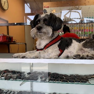 Profile Picture of Bryan Vokey - Pretty Big Guy (@bryanjvokey) on Twitter