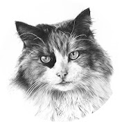 Profile Picture of Andrey Zhukov (@andreyzhukov9171) on Youtube