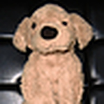 Profile Picture of Kuu♡ (@kuu♡) on Flickr