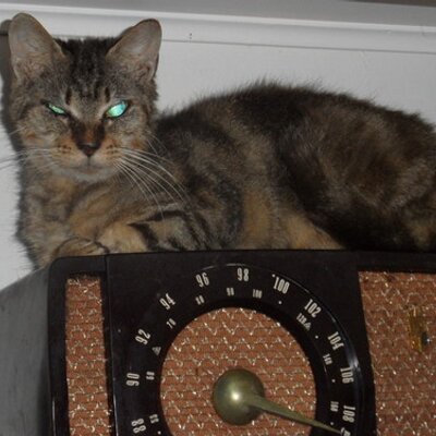 Profile Picture of Dennis Kern (@Appraiser249) on Twitter