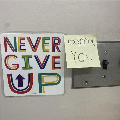 Profile Picture of Ginger Ann, Ed.D. (@ginger_annEdD) on Twitter