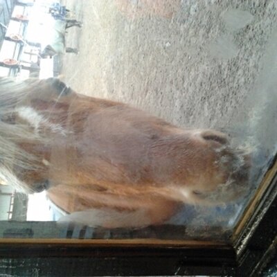 Profile Picture of Simon Quinn (@simonquinn271) on Twitter