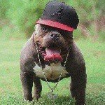 Profile Picture of Joshua (@22garfield22) on Instagram