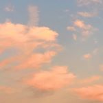 JILL SWARTZENTRUBER - Instagram Profile Picture of JILL SWARTZENTRUBER (@styledbyjill) on Instagram