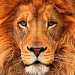 Profile Picture of Jerry Holt (@holt192) on Instagram