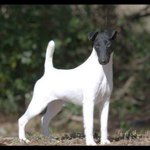 Profile Picture of Martin Drexler (@mdrexler) on Instagram