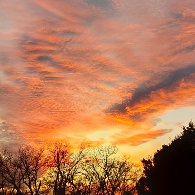 Profile Picture of Matthew Drennan (@MatthewDrenna13) on Twitter