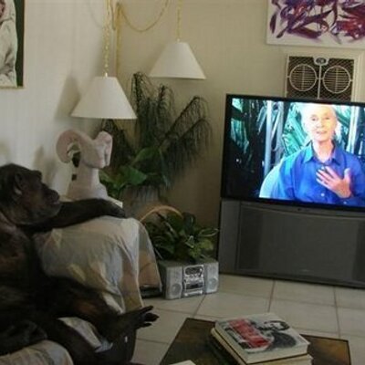 Profile Picture of Jon Cheetham (@me_cheetham) on Twitter