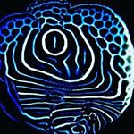 Profile Picture of Peter huang (@huang__9999) on Instagram