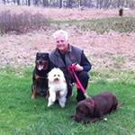 Profile Picture of Eugene Musso (@eamusso1) on Instagram