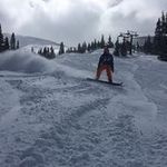 Profile Picture of Ian Cochrane (@ian.cochrane.946) on Instagram