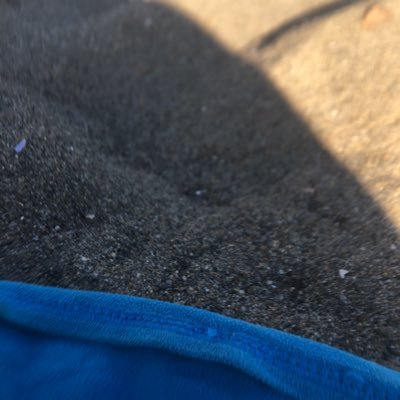 Profile Picture of Randomassperson,,, (@MichaelDemski) on Twitter