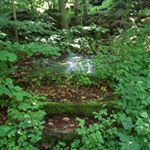 Profile Picture of Larry Dahle (@larrydahle) on Instagram