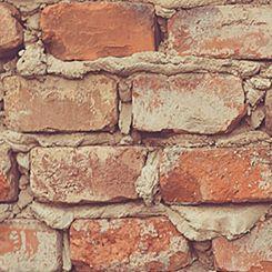 Profile Picture of Terrell Leonard (@tvl58) on Twitter