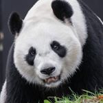 Profile Picture of Jeffrey Willems (@jeffreywillemsphotography) on Instagram