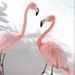 Profile Picture of Joesi Kerckaert (@blackwidowjoesi72) on Pinterest