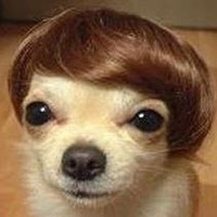 Profile Picture of Ruby Burns (@ruby-burns-14) on Quora