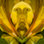 Profile Picture of Karl Hogan (@vuja de) on Flickr