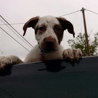 Profile Picture of Allen Shultz (@allen-shultz-3) on Quora