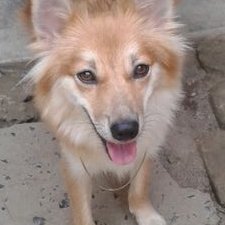 Profile Picture of Dave Hamilton (@dave_hams) on Twitter