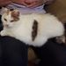Profile Picture of Phyllis Lavin (@phyllis.lavin.73) on Facebook