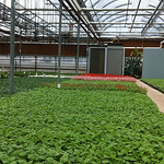 Profile Picture of Mikhail Mina (@plasticslides) on Flickr