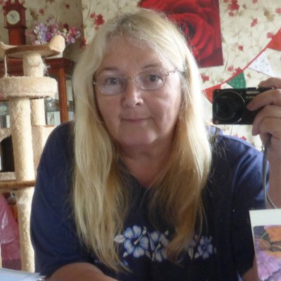 Profile Picture of Elaine (@Maid_of_Astolat) on Twitter