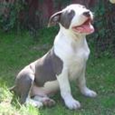 Profile Picture of Cody 3,6,1 Go Heat (@codyvallo) on Twitter