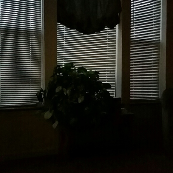 Profile Picture of Paula Cain (@pcain) on Poshmark