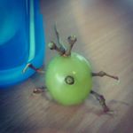 Profile Picture of Ethan Paul Gillon (@ethanpaulgillon) on Instagram