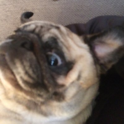 Profile Picture of Caleb Byington (@box2001__) on Twitter