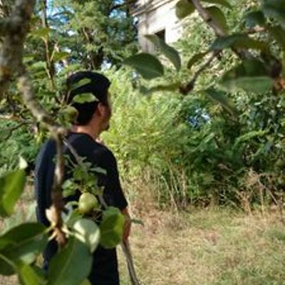 Profile Picture of Adrian Paramo (@@AdrianParamount) on Twitter