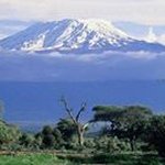 Profile Picture of Gerald Matembo (@geraldmatembo) on Instagram