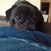 Profile Picture of Lisa Binning (@lisa.binning.5) on Facebook