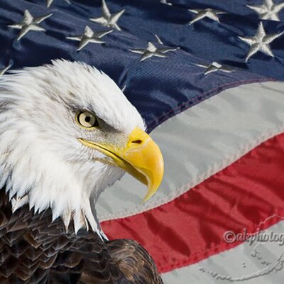 Profile Picture of Derek Melancon (@DerekMel) on Twitter