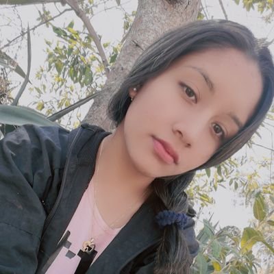 Profile Picture of Sara Luz Pinedo Espinoza (@SaraLuzPinedoE1) on Twitter