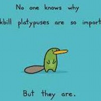 Profile Picture of Kevin Balm (@_mrPlatypus_) on Twitter