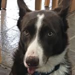 Profile Picture of Jacob Somers (@jacob_somers09) on Instagram