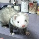 Profile Picture of Charmel Booker (@317718719) on Myspace