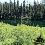 Profile Picture of James Gensch (@DaCocoDerpClan) on Youtube