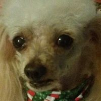 Profile Picture of Pat Simon Broussard (@pat-simon-broussard) on Quora