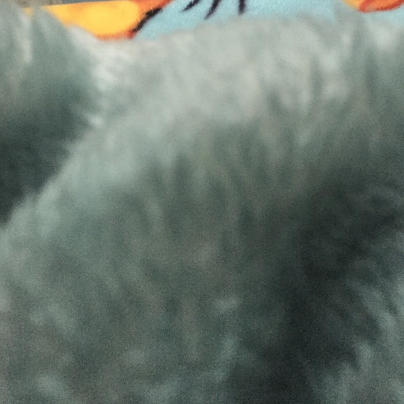 Profile Picture of Erica Fabian (@eroce) on Poshmark