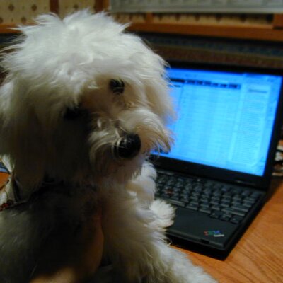Profile Picture of Ellen Browne (@EllenBrowne921) on Twitter