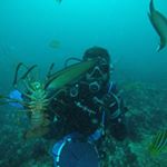 Profile Picture of Josh Chapman (@joshchappie) on Instagram