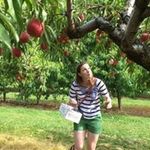 Profile Picture of Stephanie Hassler (@stephassler) on Instagram