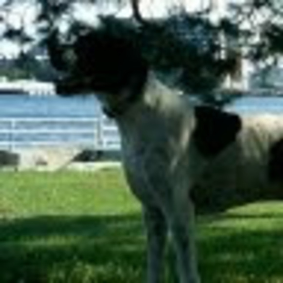 Profile Picture of Benjamin Anderson (@andershy) on Poshmark